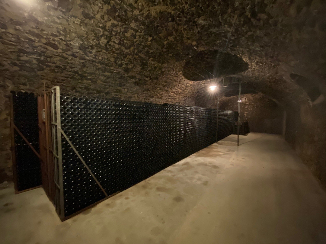 Champagne Pierre Morlet景点图片