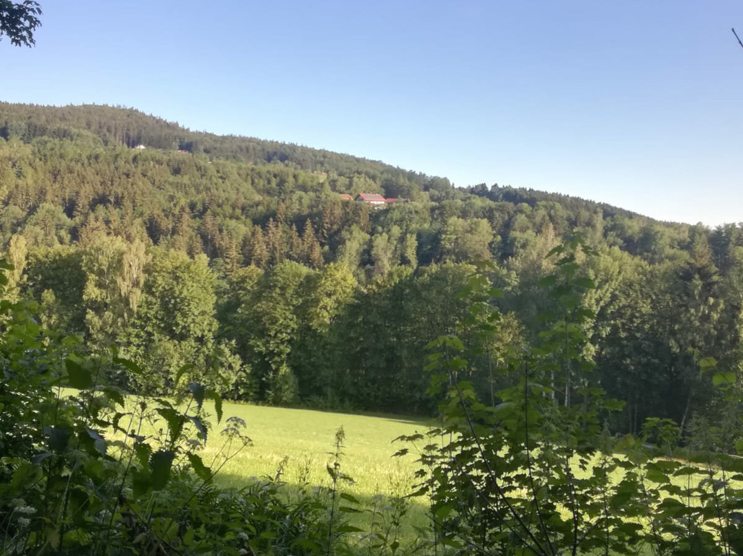 Hotel Waldschloessl主图
