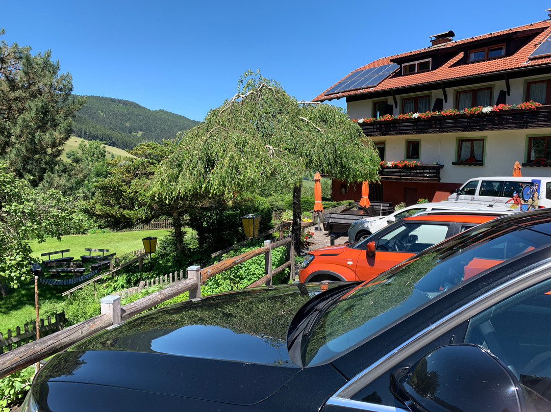 Familienhotel Koch主图