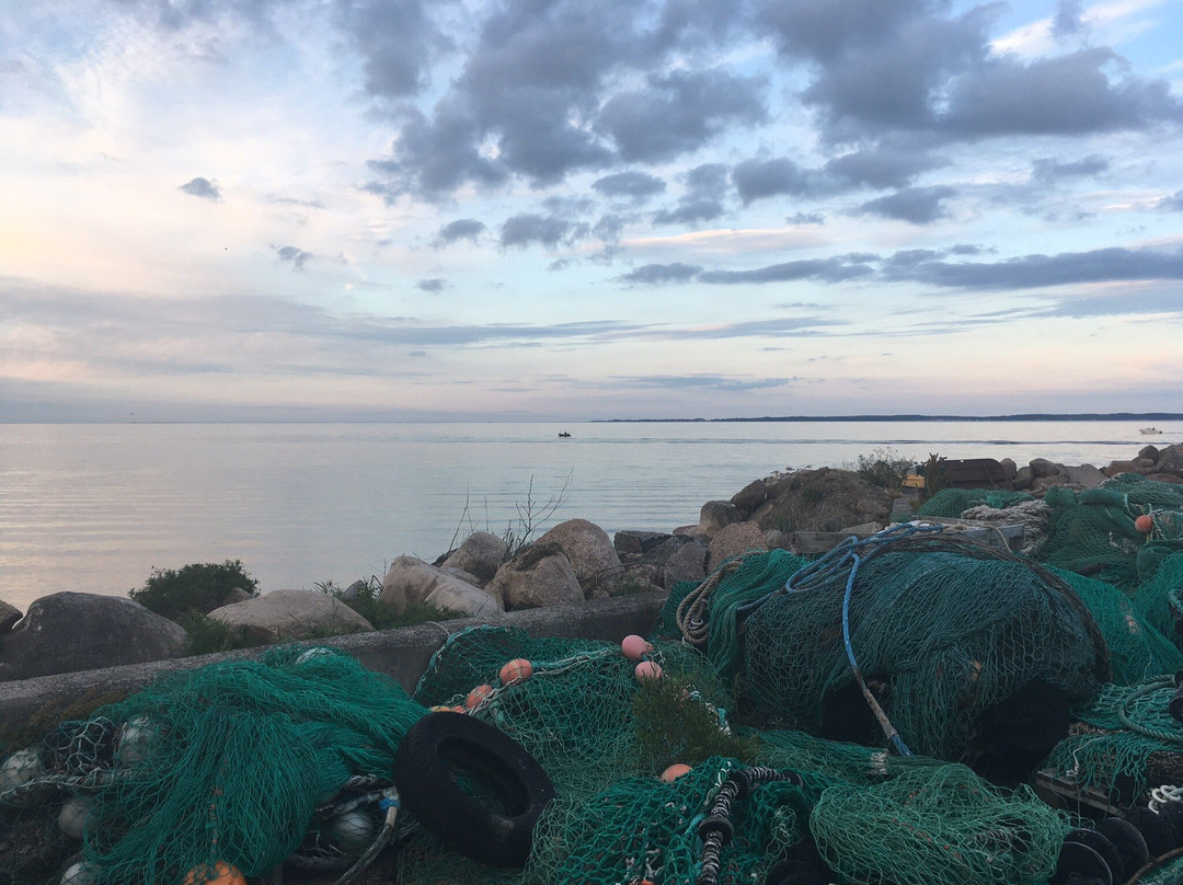 Lundeborg Havn-Hesselager必去景点