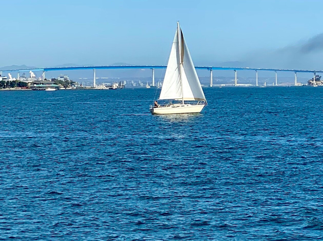 San Diego Sailing Experiences-圣地亚哥必去景点