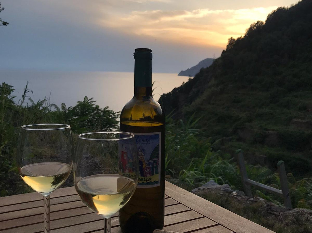 阿尔巴尼拉酒店