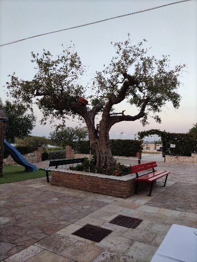 Agriturismo Fontefredda主图