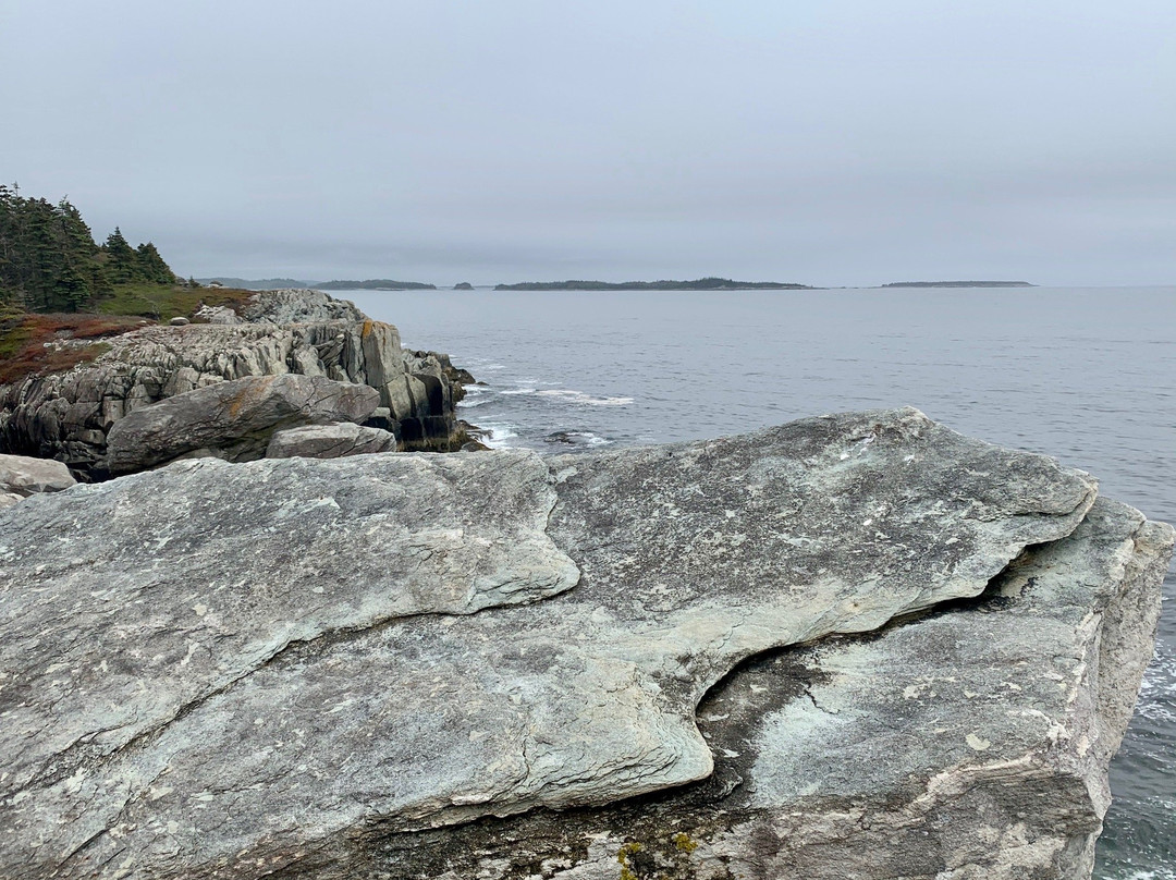 Taylor Head Provincial Park景点图片