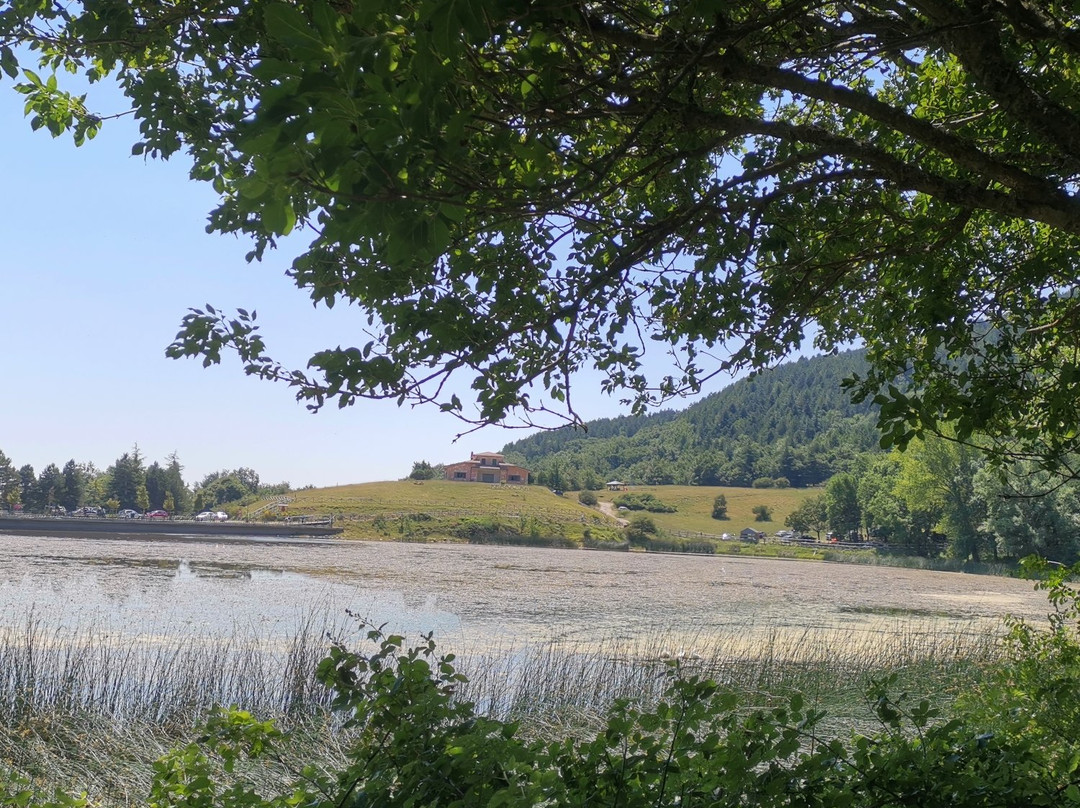 Area Naturale Lago Pescara景点图片