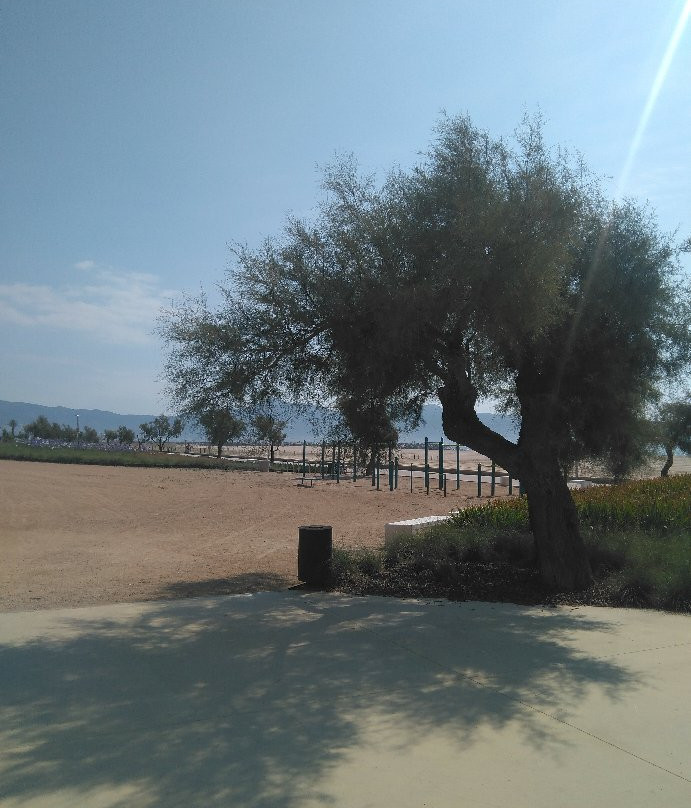 Platja de Can Comes景点图片