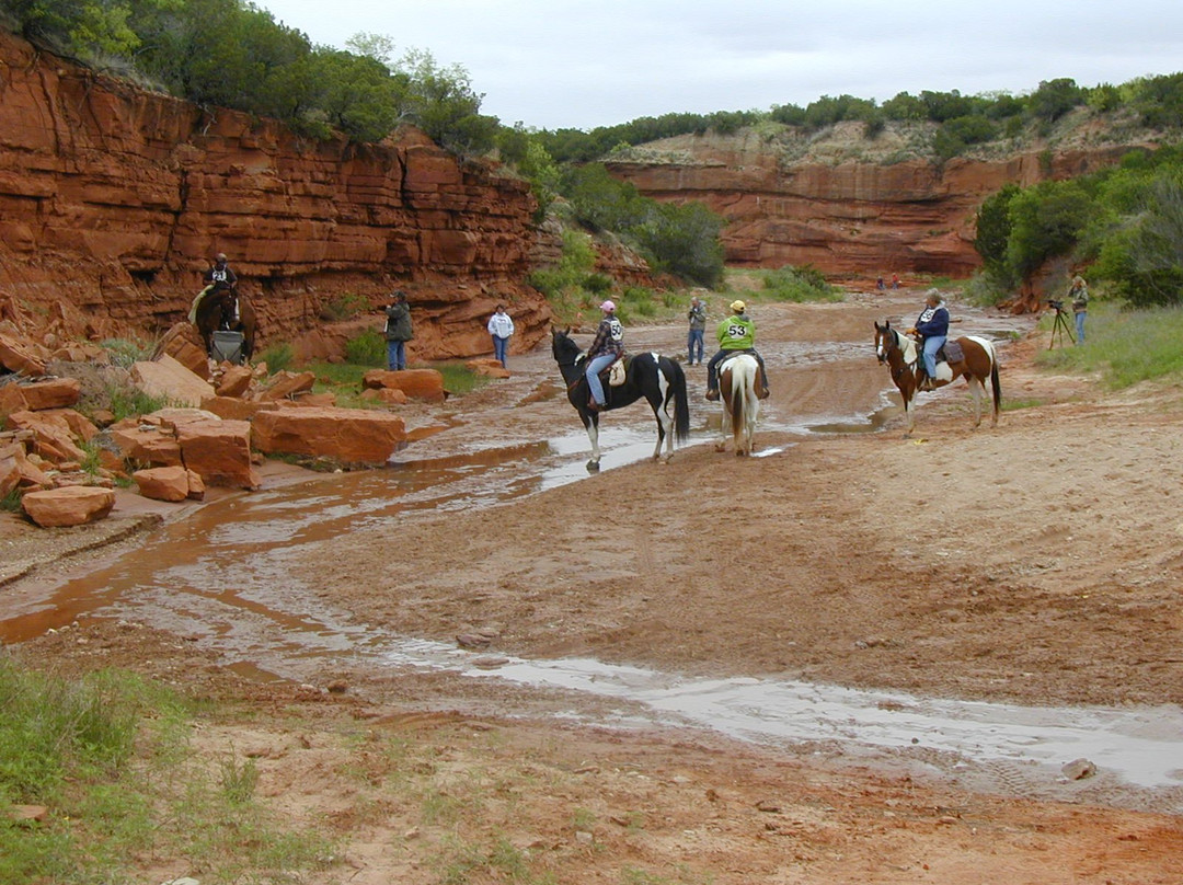 Pole Canyon Ranch-Quitaque必去景点