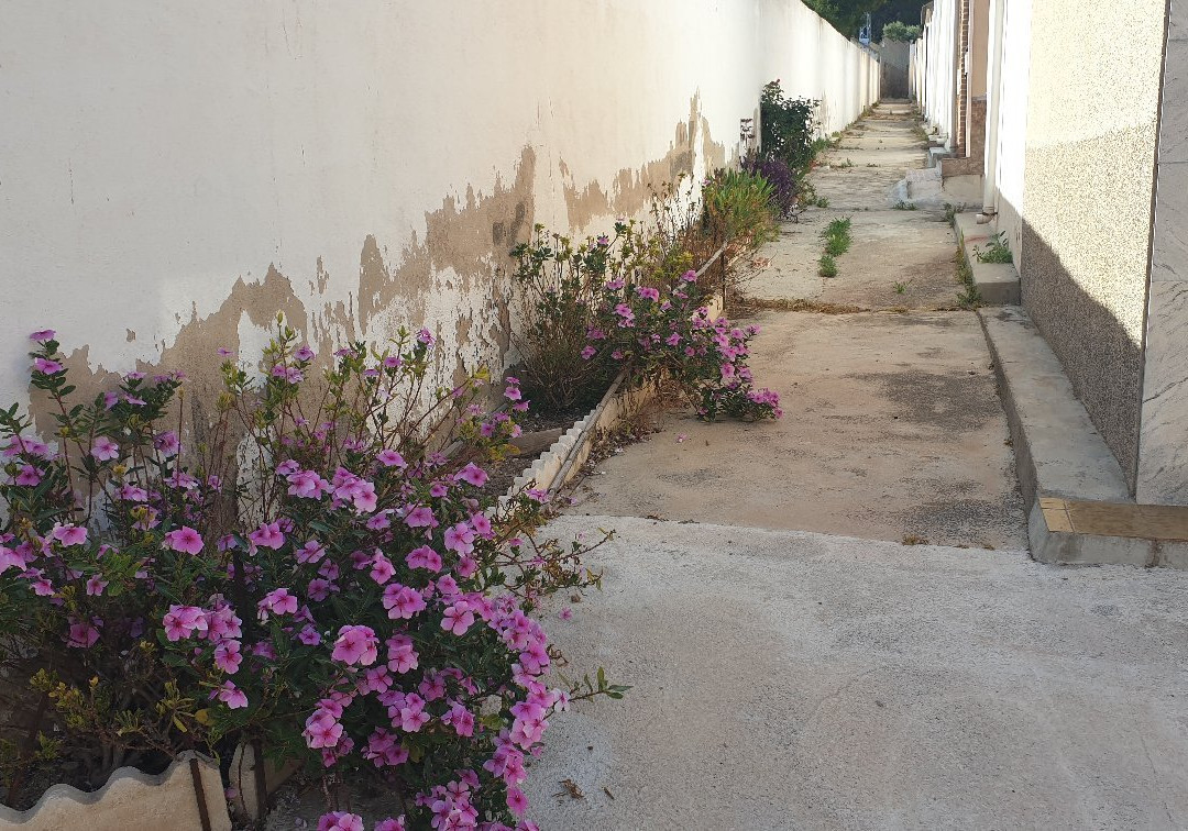 Cementerio De Los Garres-Los Garres必去景点