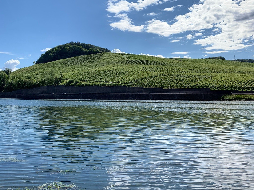 Grevenmacher酒店住宿-Gastehaus und Weingut Bernd Frieden