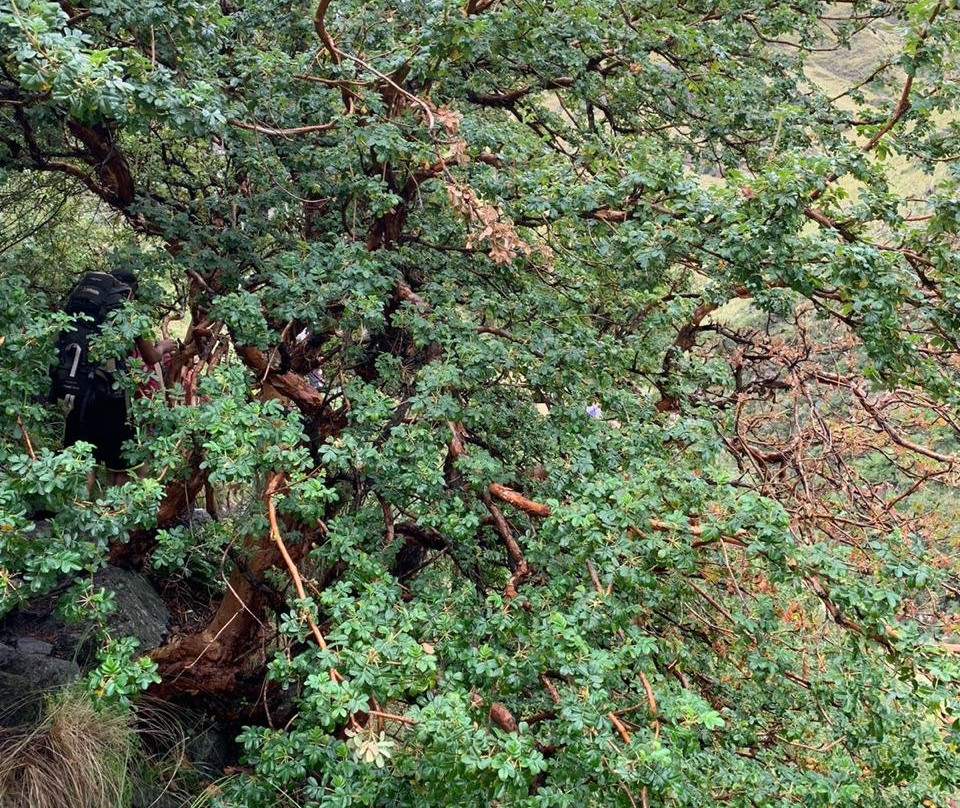 Salto del Tabaquillo景点图片