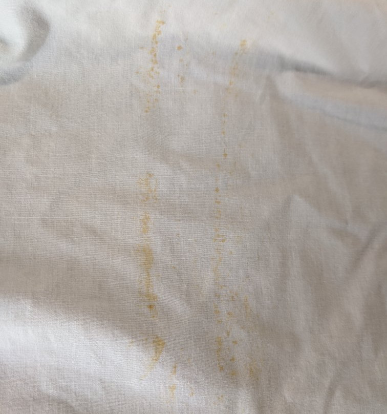 Country Inn & Suites by Radisson, Savannah Gateway, GA主图