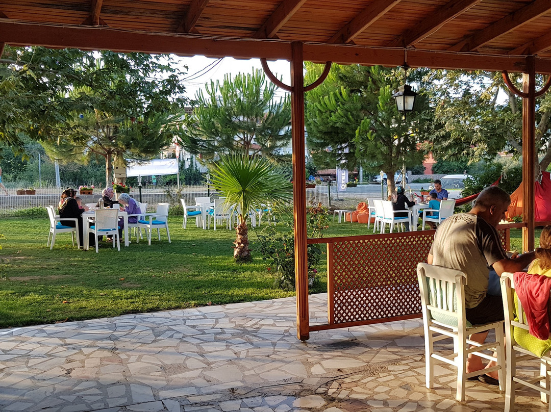Zeytin Hotel主图