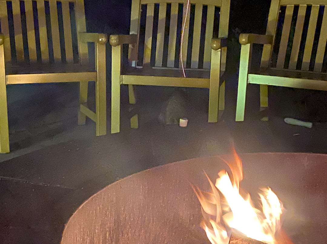 Nature Inn at Bald Eagle主图