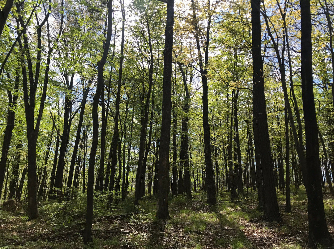 Shawangunk Mountains景点图片