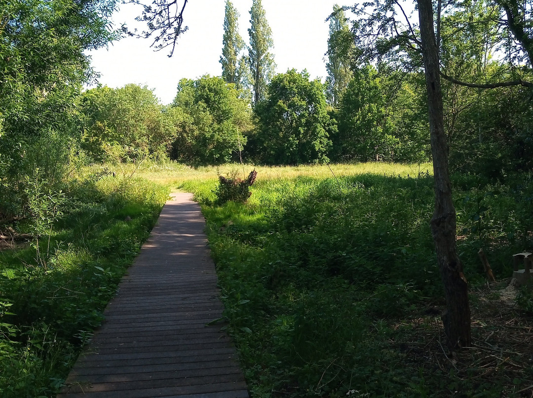 Fox Covert Local Nature Reserve-Long Eaton必去景点