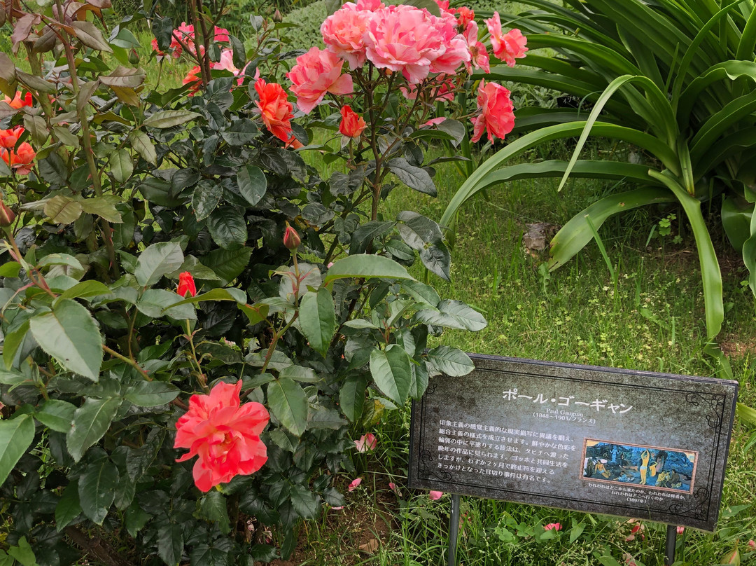 Botanica Museum-千叶市必去景点