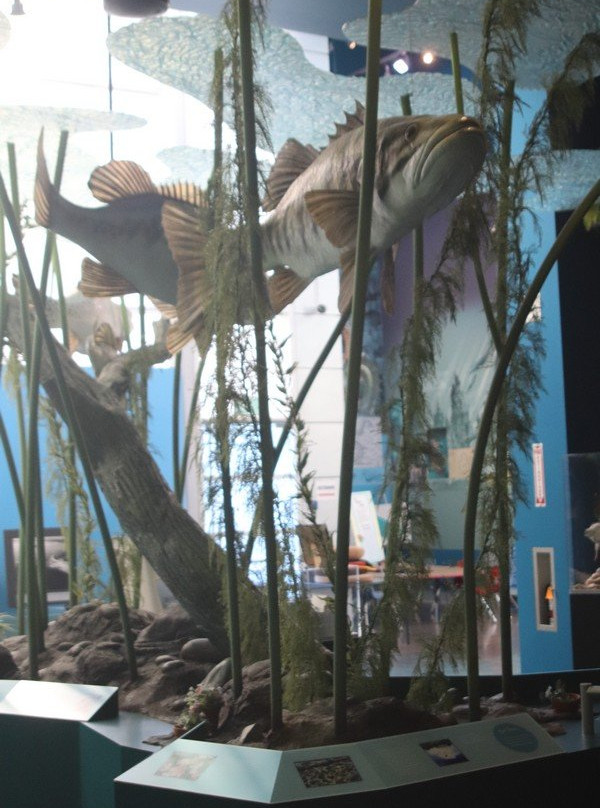 Diamond Valley Lake Visitors Center-赫米特必去景点