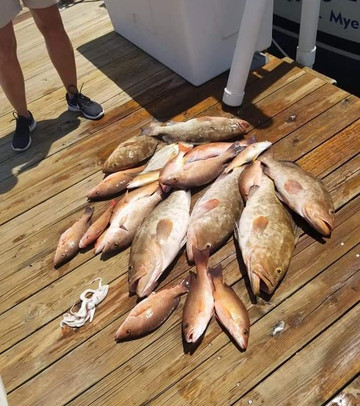 MacAttack Charters-迈尔斯堡海滩必去景点