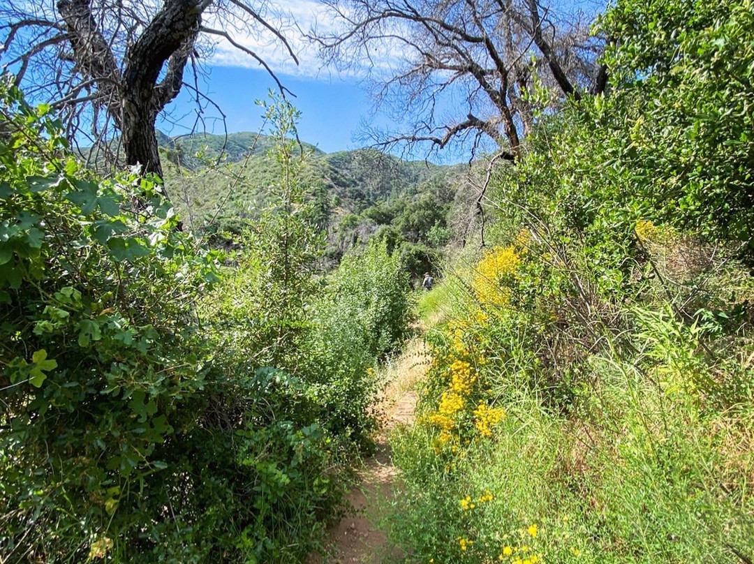 Placerita Canyon Nature Center景点图片