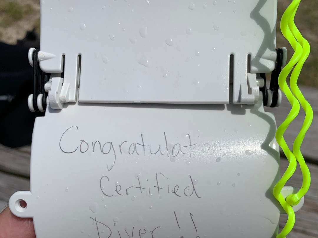 Adventure Dive Center-奥尔巴尼必去景点