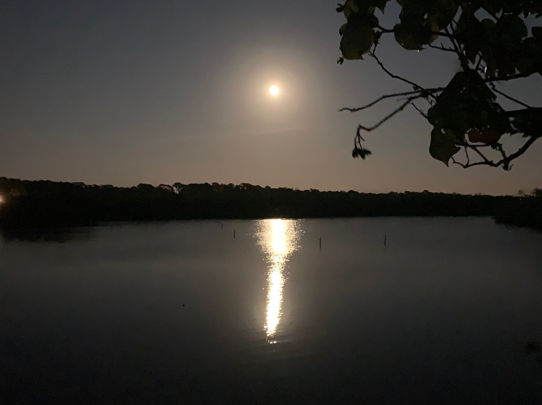 Seafarer Beach Resort主图