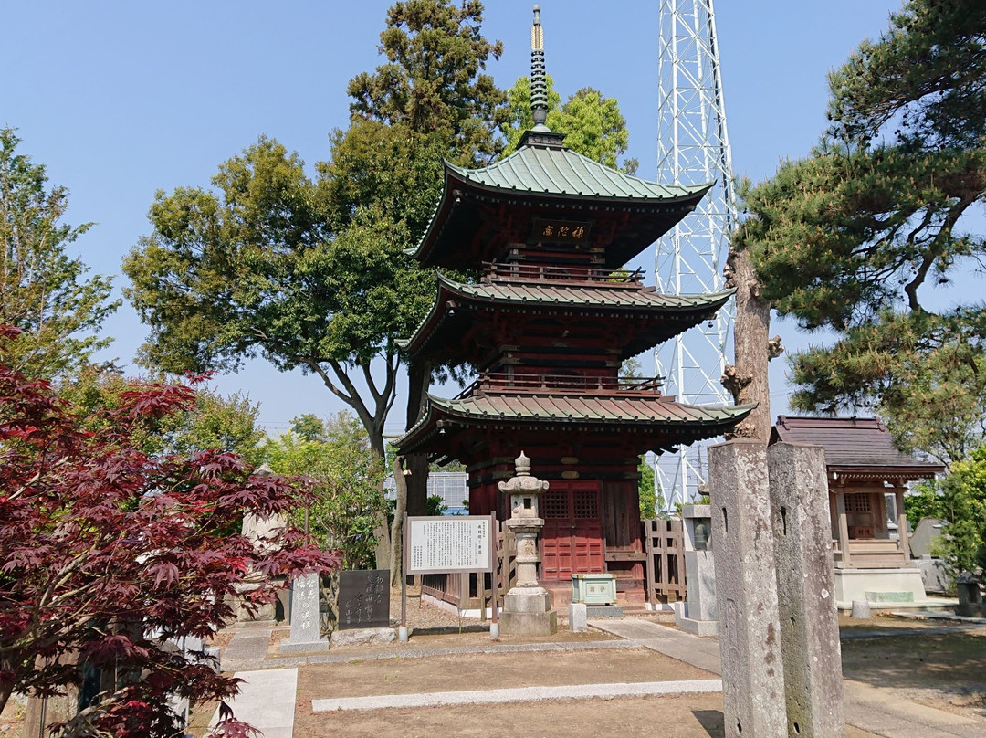 Three-story Pagoda at Jojuin Temple景点图片