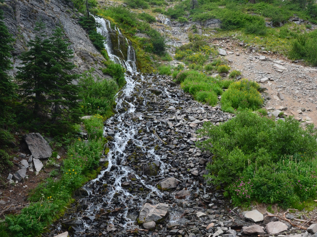Vidae Falls景点图片