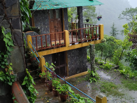 Rewild India-里希克虚必去景点