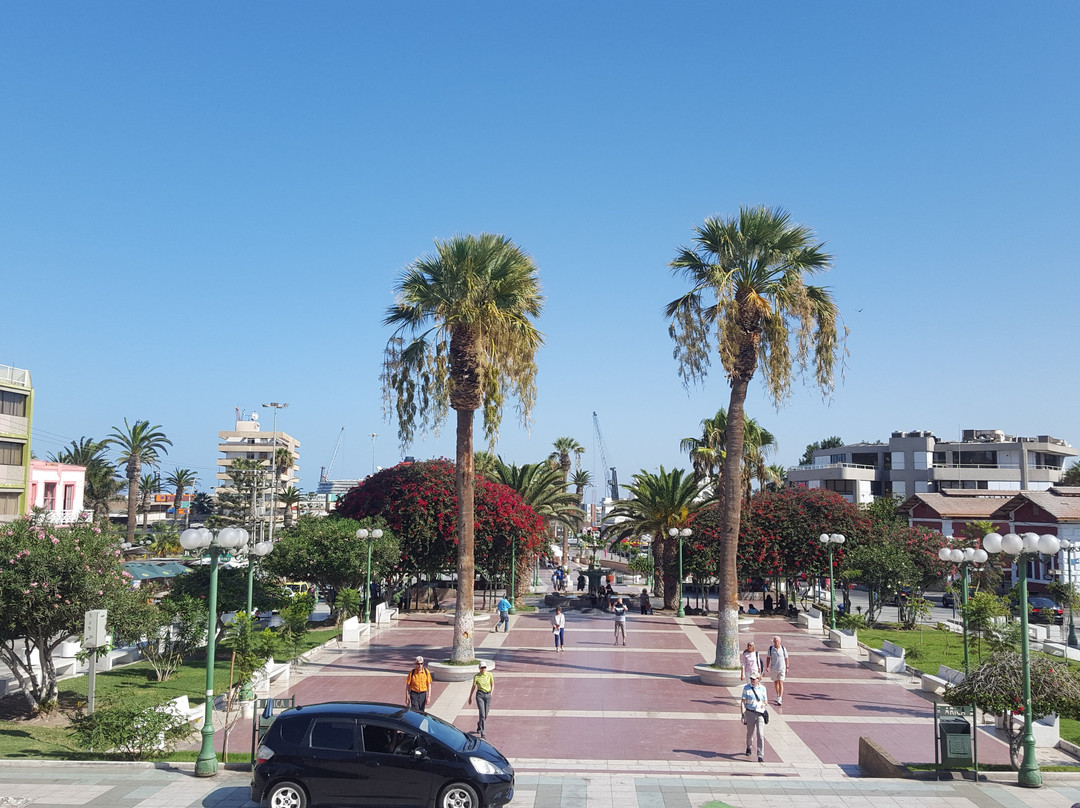 Plaza Colon景点图片