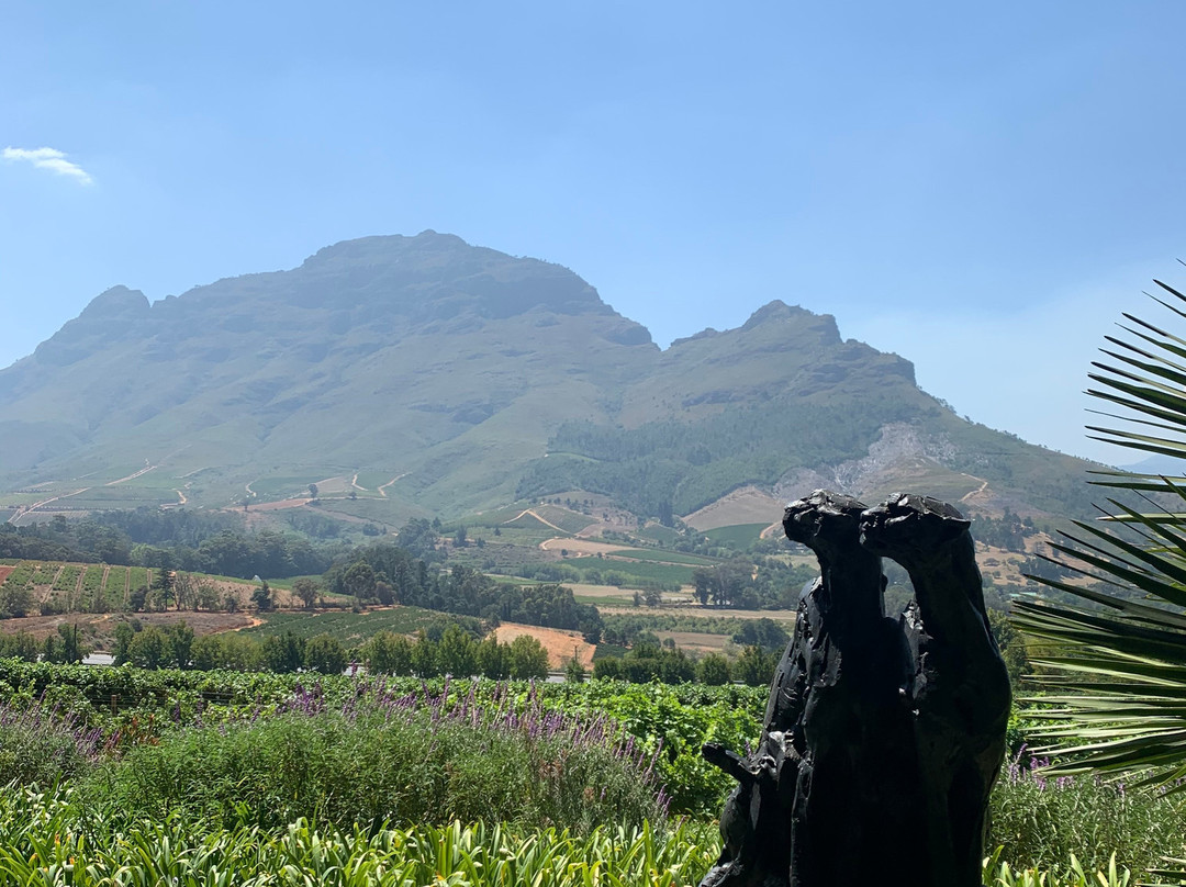 Cape Tours With Mac-开普敦中心区必去景点