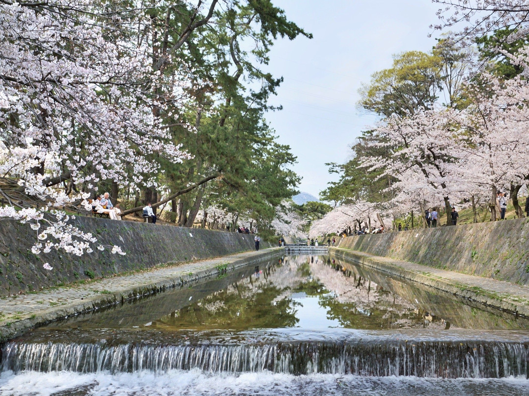 Shukugawa Park-西宫市必去景点