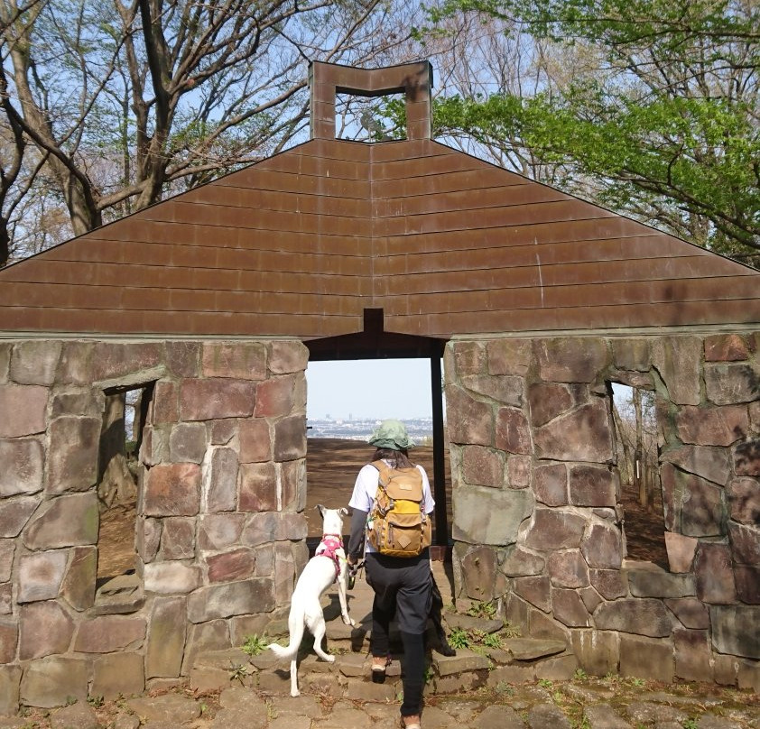 Nanasawa Forest Park景点图片