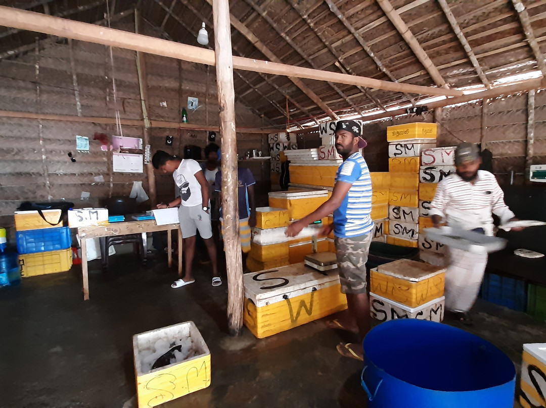 Surfpoint Srilanka Kite Village景点图片