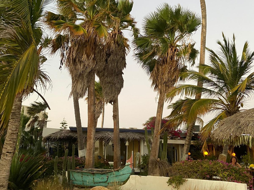 Beach House Aruba Apartments主图