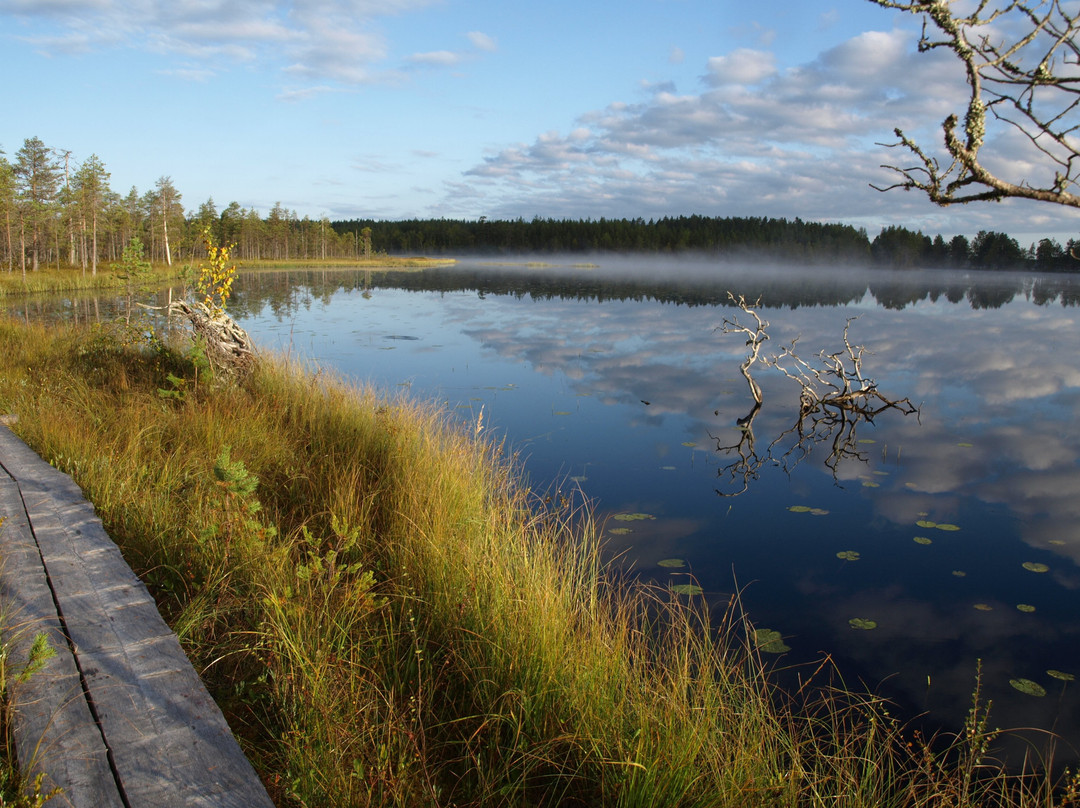 Salamajärven Kansallispuisto-Kivijärvi必去景点