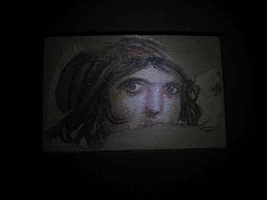 Gaziantep Museum of Archaelogy景点图片