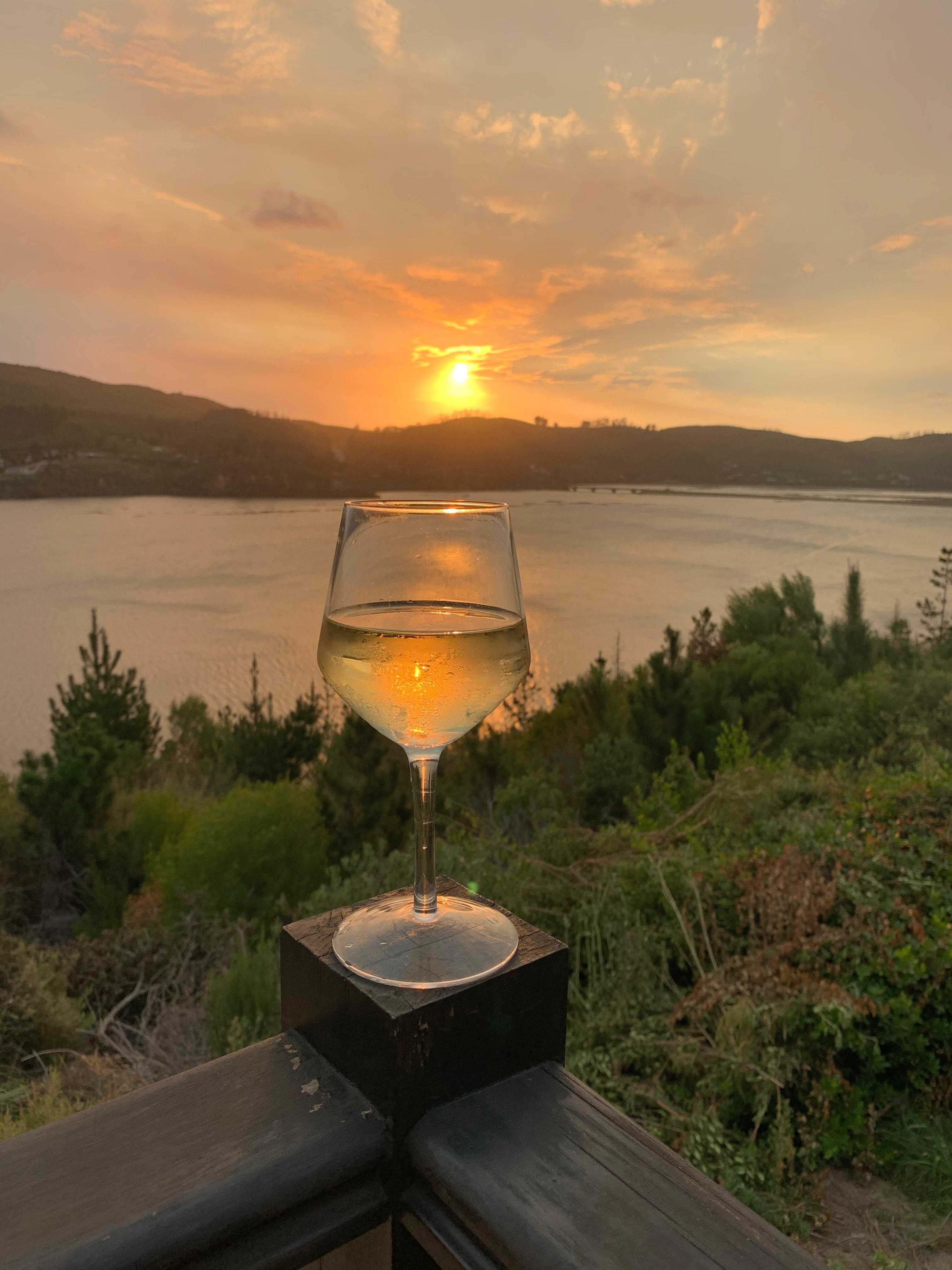 Elephant Hide Of Knysna Guest Lodge-酒店景观