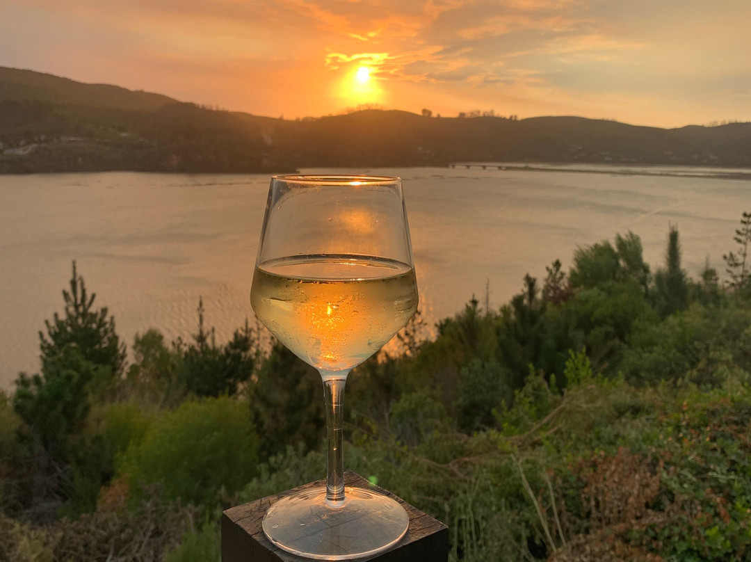 Elephant Hide Of Knysna Guest Lodge主图