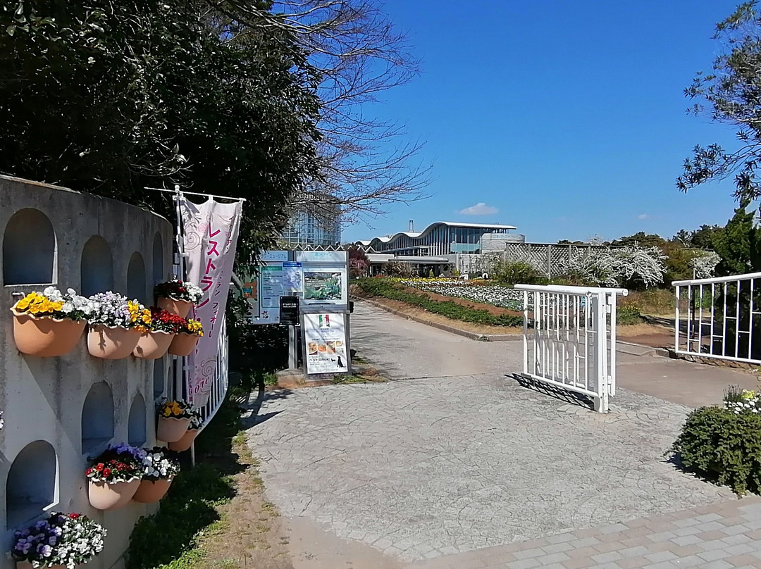 Botanica Museum-千叶市必去景点