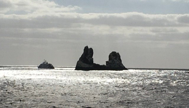 Socorro Island-卡波圣卢卡斯必去景点