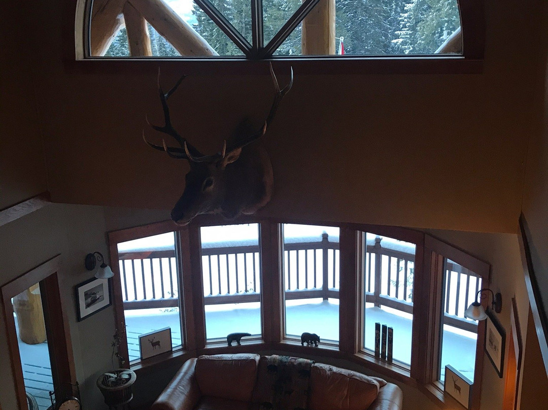 Vagabond Lodge主图