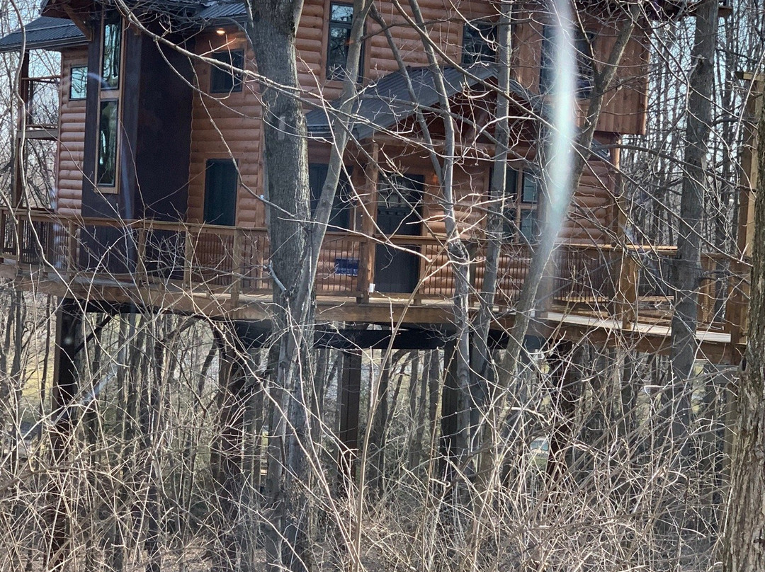 Berlin Cottages - Amish Country Lodging.主图