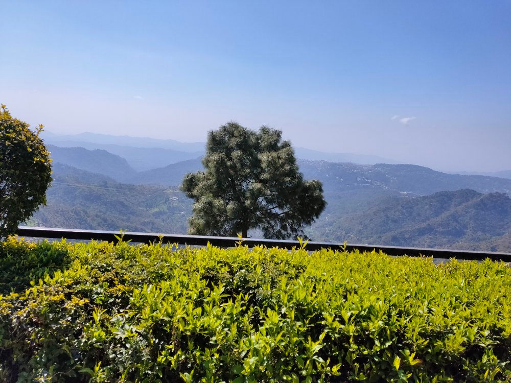 Grand View Resort-官方