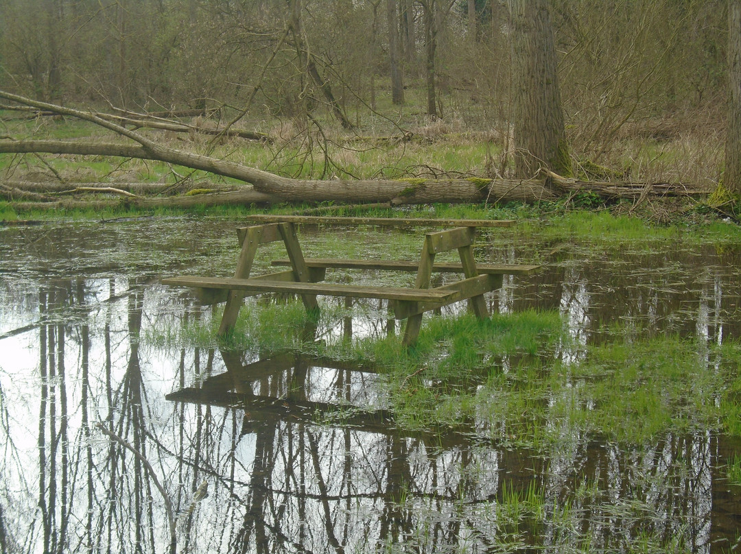 Parc Fort Louis-Coudekerque-Branche必去景点