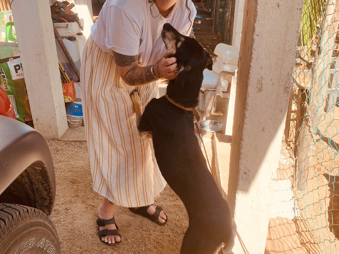 Hacienda La Rusa主图