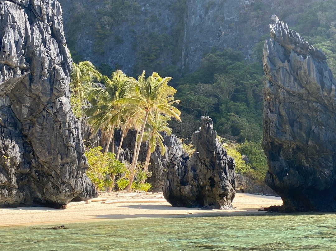 World Holiday Travel and Tours Palawan景点图片