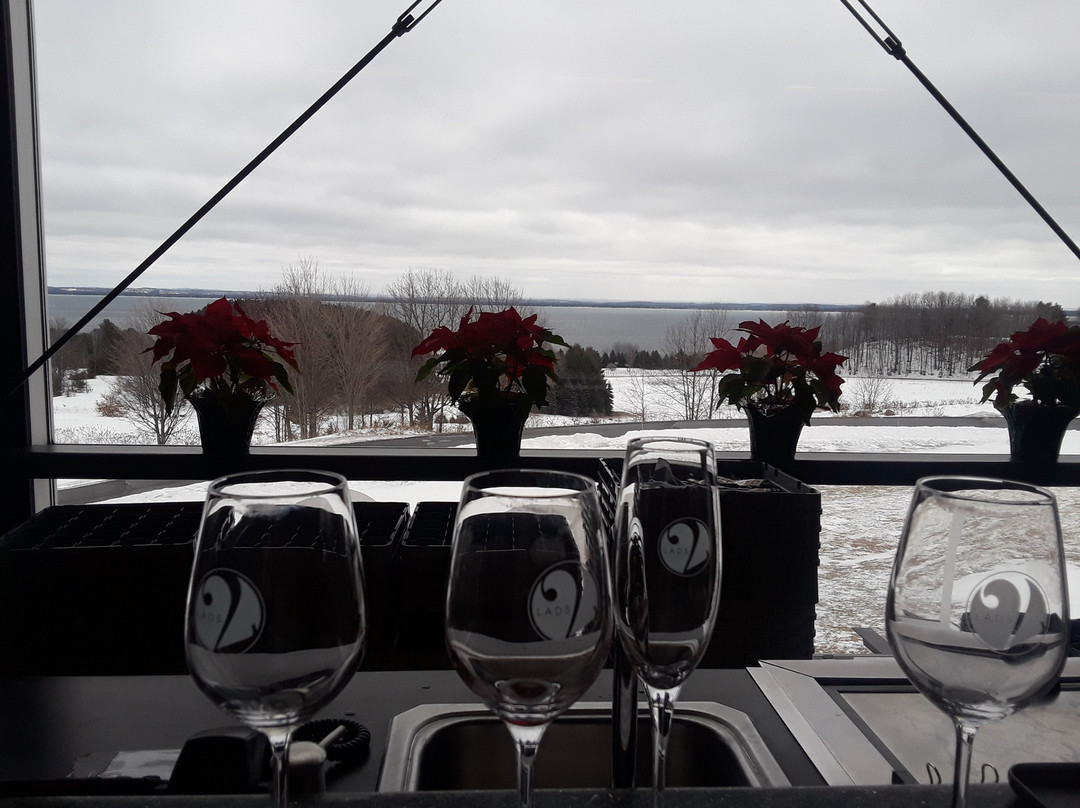 2 Lads Winery-特拉弗斯城必去景点