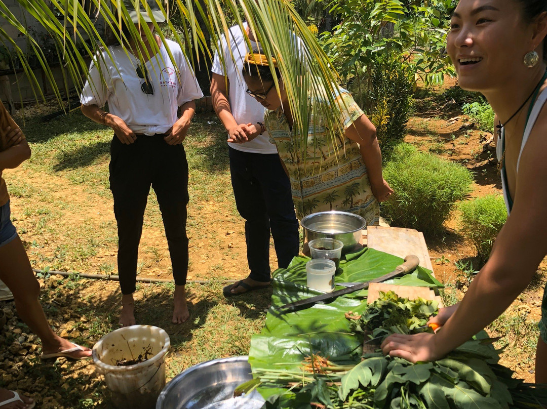 Bayatakan Farm Experience景点图片