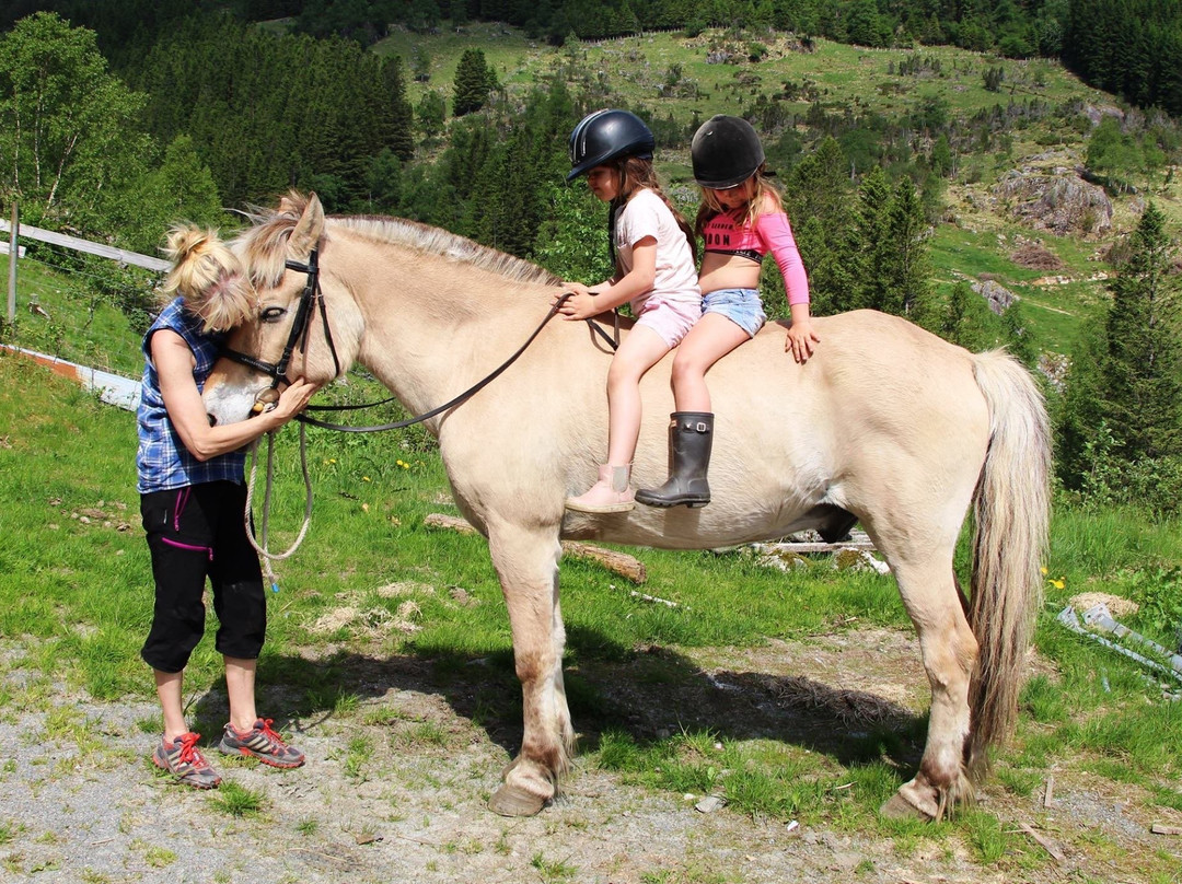Smiedal Aktivitetsferie - Day Tours-Akra必去景点