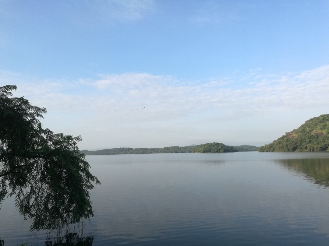 Giritale Lake景点图片